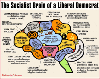 liberal democrat brain